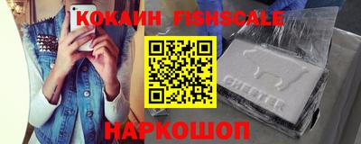 крисы Славгород