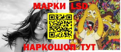 крисы Славгород