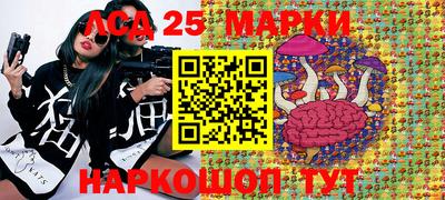 крисы Славгород