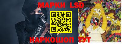 крисы Славгород
