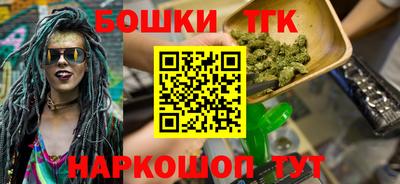 крисы Славгород