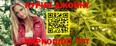 крисы Славгород