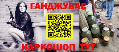 крисы Славгород