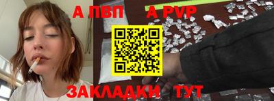 крисы Славгород