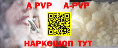 крисы Славгород