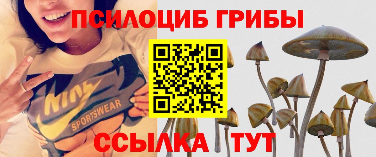 Россошь  Галлюциногенные грибы прущие грибы  Вход с VPN 