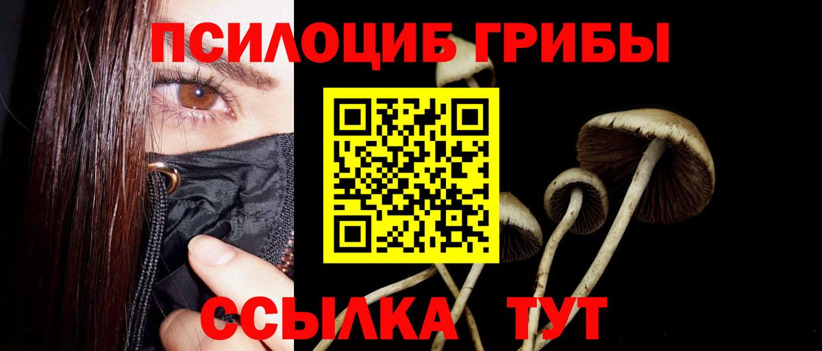 Псилоцибиновые грибы Psilocybine cubensis Россошь